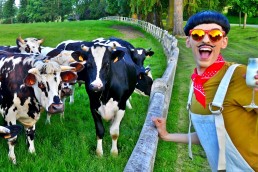 Nuno Roque - Best of Snapchat WTF Moments - Cows - Farm - Milk - Fashion Menswear